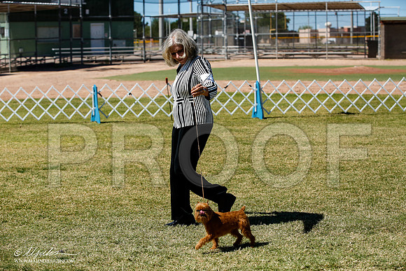 _JJ_0624-AlamogordoOct2014-HR3