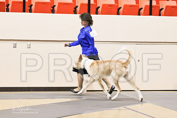 MMJ_9616LR