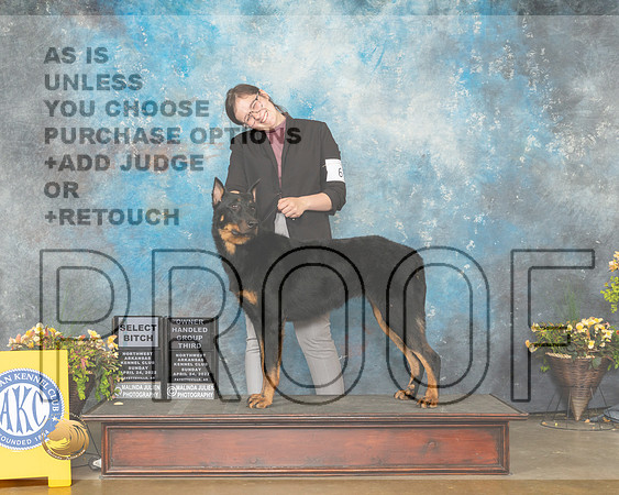 Beauceron #6 Sun SBOHG3 Judge Jim Fehring-MMJ_1566-NWARK2022-HR3