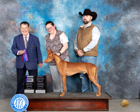 Amanda Hyre Midland 2024