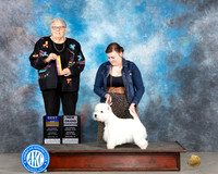Jane Bravo Midland 2024