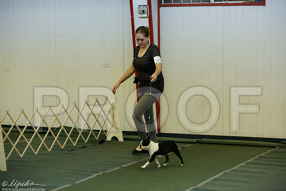 _JJ_2401-DentonMar2015-HR3