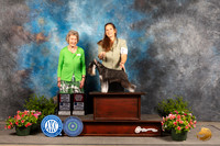 Miniature Schnauzer #12 Sun BOSOHBOB Judge Anne Bolus