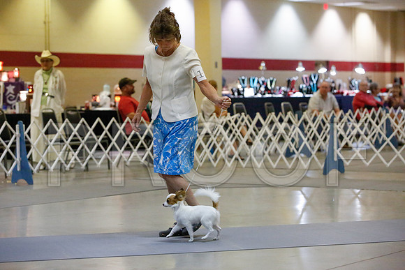 _JJ_1106-AmarilloSept2014-HR3