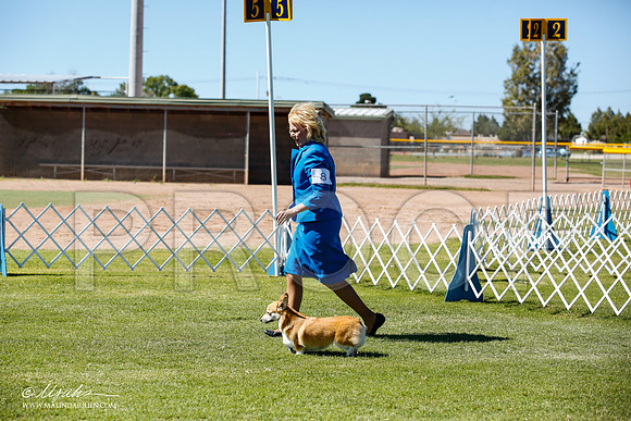 _JN_9175-AlamogordoOct2014-HR3