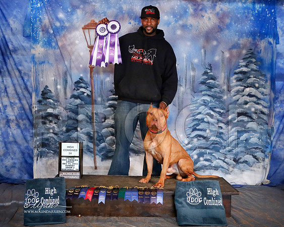 APBT-6948-MrshlDec13-HR