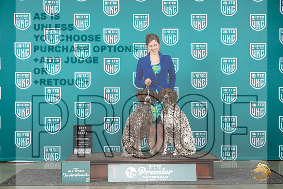 German Shorthaired Pointer #771 Wed Brace Judge Jeanne Heger__JP_2356_Premier_2024_HR3