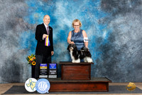 Havanese #8 WBBOBM Judge Larry Abbott