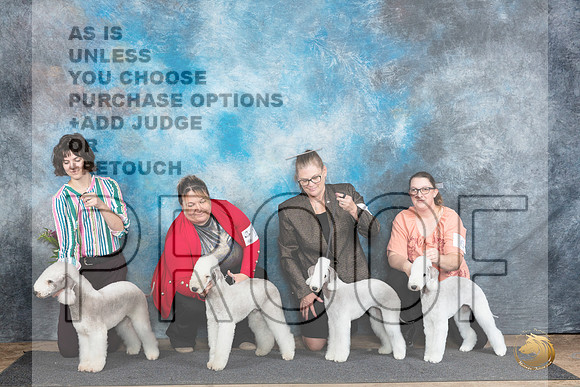 Bedlington Terrier Family Photo Sun__JP_0022_Abilene_2024_HR3