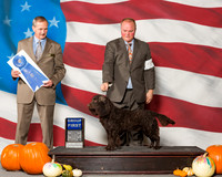 American Water Spaniels #5 Sun G1 Mccracken Lois H Agent Lisa Bettis Judge Mr Rick Gschwenden