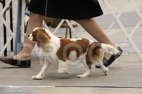 IMG_7628-Abilene2011-HR3