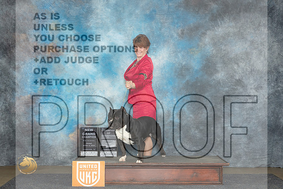American Bully Fri1 COC Judge Nina Fri2 COC Judge Nancy Eilks__JP_2380_UKCLmgvwApr_2024_HR3