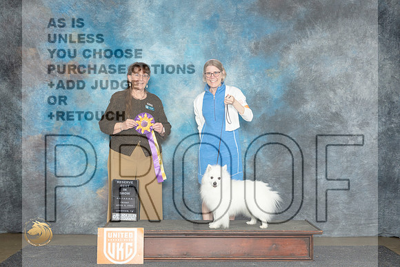 American Eskimo #253 Fri ARBIS Judge Nancy Eilks__JP_2430_UKCLmgvwApr_2024_HR3