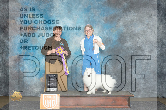 American Eskimo #253 Fri ARBIS Judge Nancy Eilks__JP_2431_UKCLmgvwApr_2024_HR3