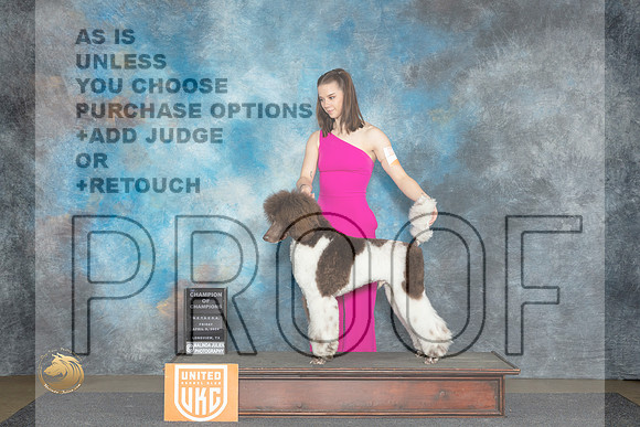 Poodle Std MC #135 Fri COC Judge Nancy Eilks__JP_2305_UKCLmgvwApr_2024_HR3
