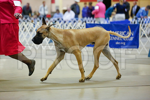 _JJ_6518-AmarilloSept2014-HR3