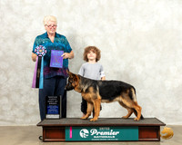 German Shepherd Dog #226 Wed NovPBOB Judge Karen Cattin