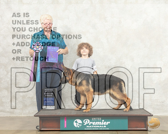German Shepherd Dog #226 Wed NovPBOB Judge Karen Cattin_MMJ_6661_Premier_2022_HR3