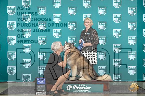 Alaskan Malamute #1301 Sat AG1 Judge Deb Allen__JP_2422_Premier_2024_HR3