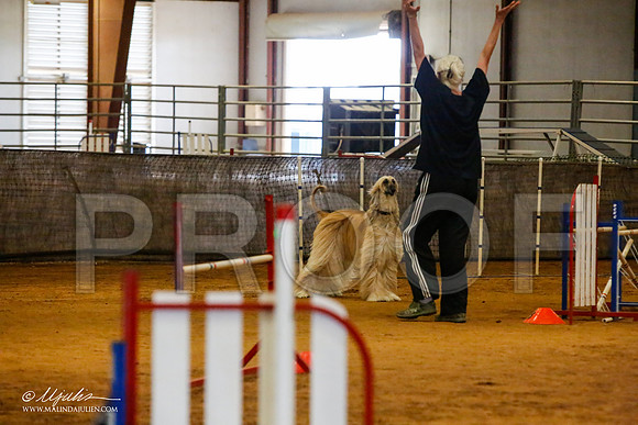 _MJ_2578-AfgBeltonOct2014-HR3