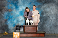 French Bulldog #230 Sat COCGCH Judge Denise Vavla