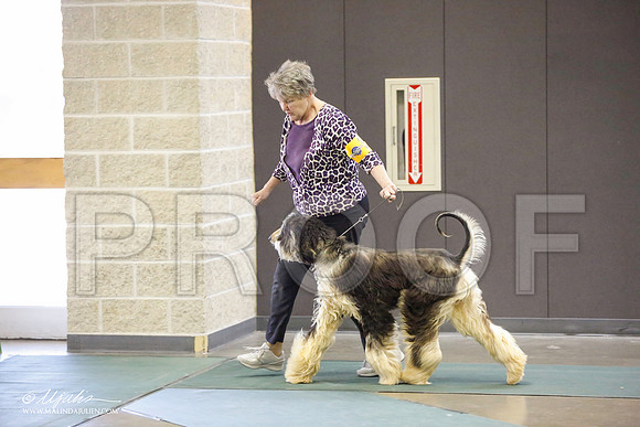 _JN_3992-BeltonJan2015-HR3