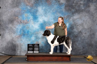 Pyrenean Mastiff #245 Fri BF NCh Judge Malinda Julien