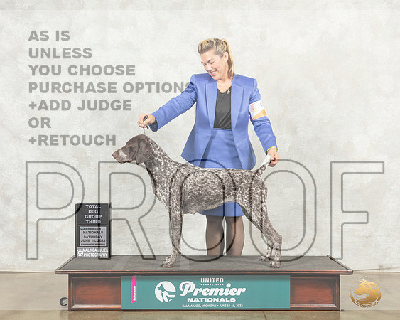 German Shorthaired Pointer #678 Sat TDG3 Judge Diana Brumbaugh__MJ_8767_Premier_2022_HR3