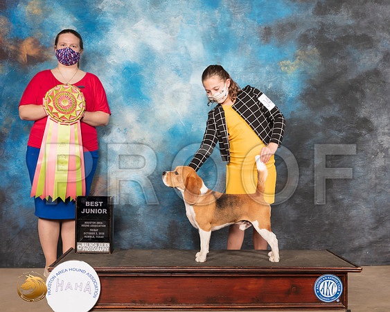 Beagle 15 #J403 BestJr Judge Kimberly Bettandorf_SR_0410_Humble_2020_HR3