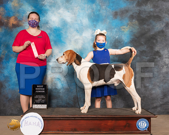 Treeing Walker Coonhound #J8 Fri Nov1st Judge Kimberly Bettandorf_SR_0403_Humble_2020_HR3