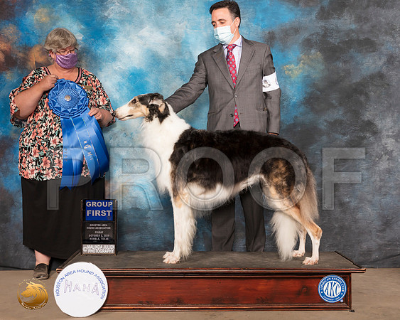 Borzoi #6 Fri G1 Judge Amy Sorbie_SR_0438e_Humble_2020_HR3