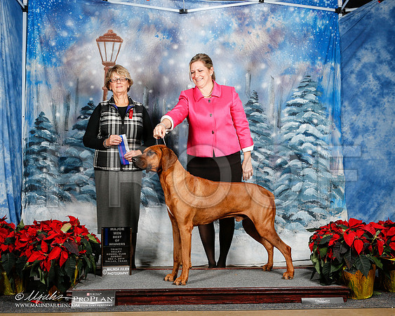 _ST_9212-2-DallasDec2014-HR3