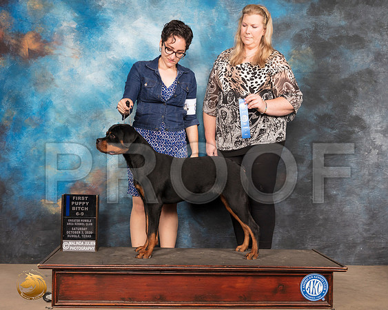 Rottweiler #6 Sat 6to91st_SR_0492_Humble_2020_HR3