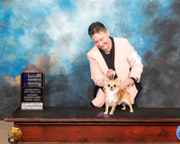 Chihuahua Long Coat #8 Sat WB NCh Judge Denise Dean