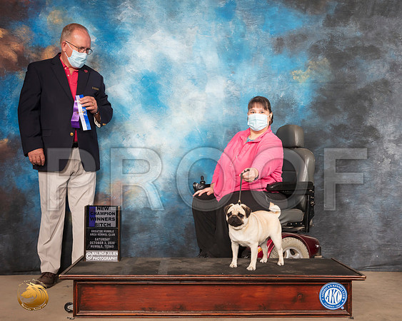 Pug #16 Sat WB NCh Judge John Constantine Amodei_SR_0521_Humble_2020_HR3