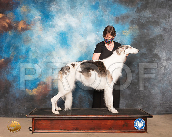 Borzoi Sat 2 Prudence Hlatky_SR_0637_Humble_2020_HR3