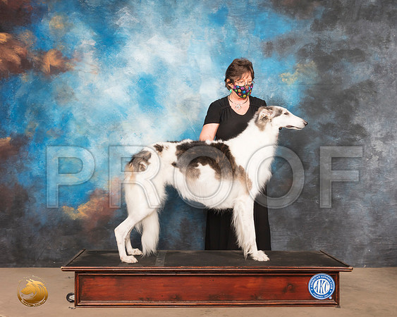 Borzoi Sat 2 Prudence Hlatky_SR_0640_Humble_2020_HR3