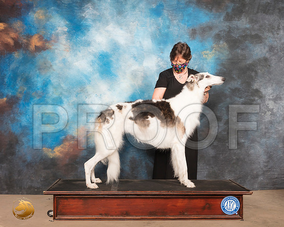 Borzoi Sat 2 Prudence Hlatky_SR_0638_Humble_2020_HR3
