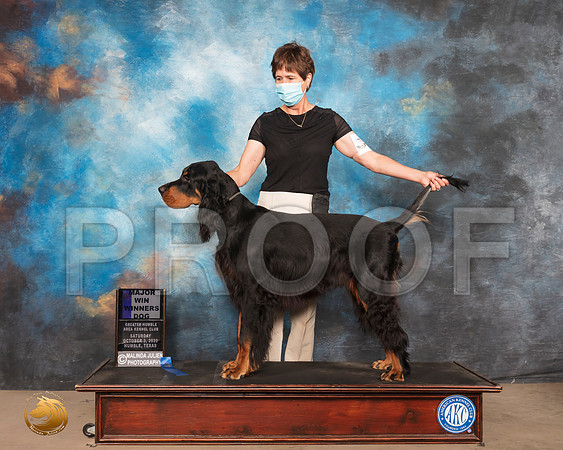 Gordon Setter #15 Sat WD Maj Judge DR CAMILLE MCARDLE_SR_0580_Humble_2020_HR3