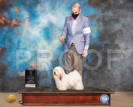 Havanese #14 Sat BOW Maj Judge John Constantine Amodei_SR_0591_Humble_2020_HR3