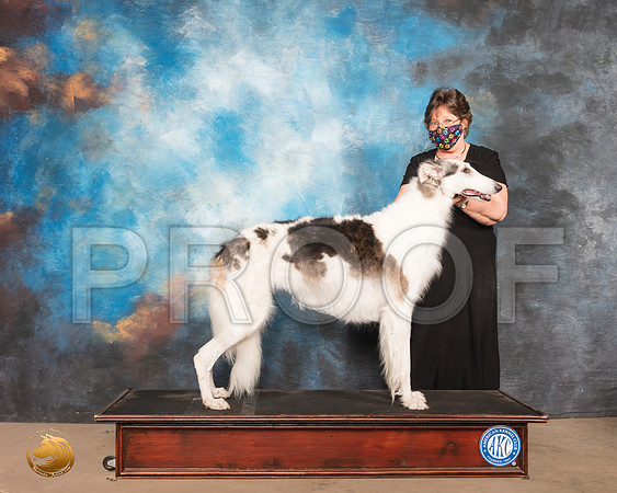 Borzoi Sat 2 Prudence Hlatky_SR_0634_Humble_2020_HR3