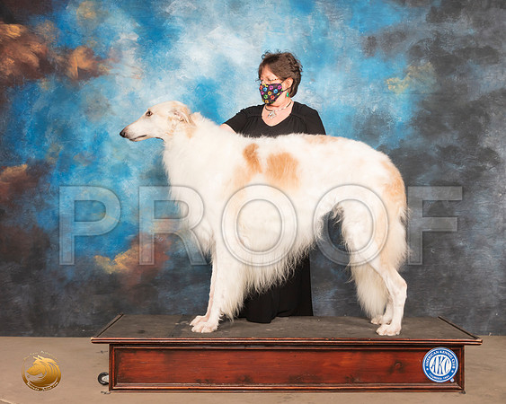 Borzoi Sat Prudence Hlatky 6_SR_0653_Humble_2020_HR3