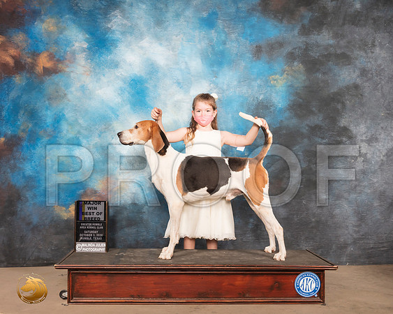 Treeing Walker Coonhound #15 Sat BOB  Judge Sheila Paske_SR_0660_Humble_2020_HR3