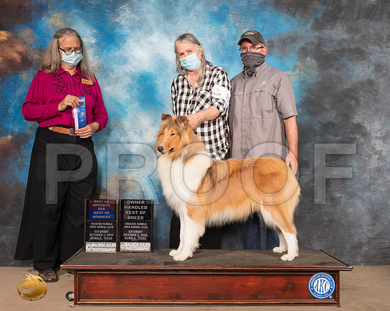 Collie Rough #8 Sat BOW OHBOB Judge Denise Dean_SR_0706_Humble_2020_HR3