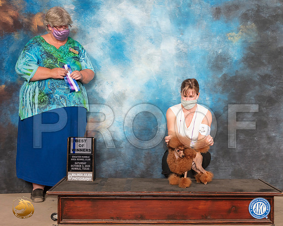 Poodle Toy #17 Sat BOW Judge Amy Sorbie_SR_0737_Humble_2020_HR3