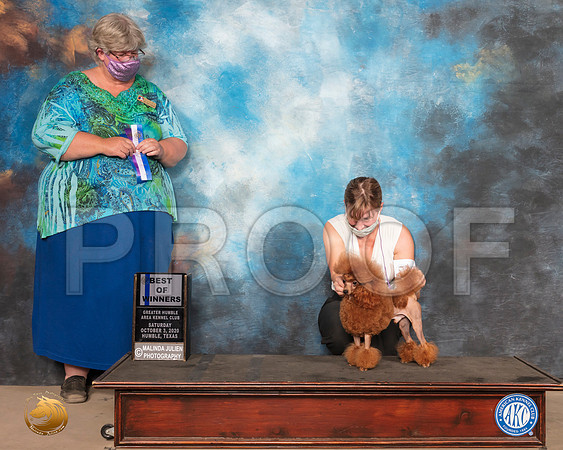 Poodle Toy #17 Sat BOW Judge Amy Sorbie_SR_0738_Humble_2020_HR3