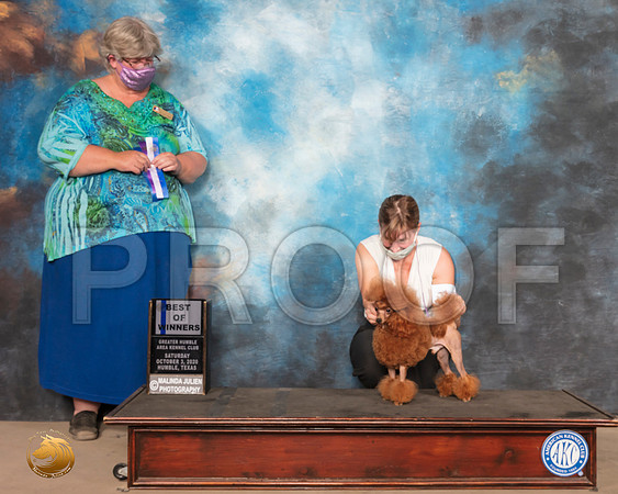 Poodle Toy #17 Sat BOW Judge Amy Sorbie_SR_0739_Humble_2020_HR3