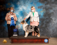 Australian Shepherd #20 Sat G1 Judge Karen J Hynek