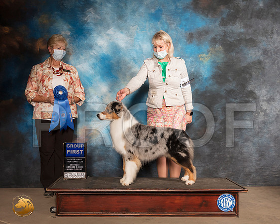 Australian Shepherd #20 Sat G1 Judge Karen J Hynek_SR_0798_Humble_2020_HR3