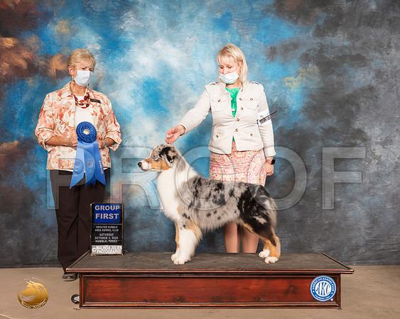 Australian Shepherd #20 Sat G1 Judge Karen J Hynek_SR_0799_Humble_2020_HR3